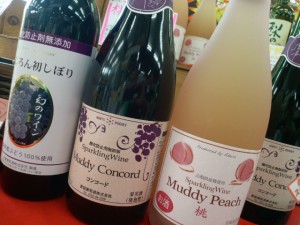 2013093013340000.jpg